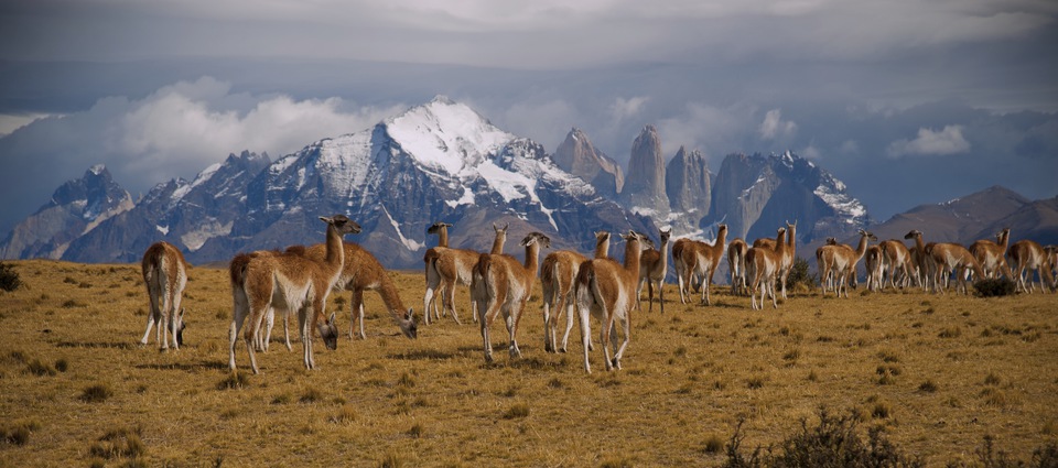 Torres del Paine Chile Torres del Paine Chile